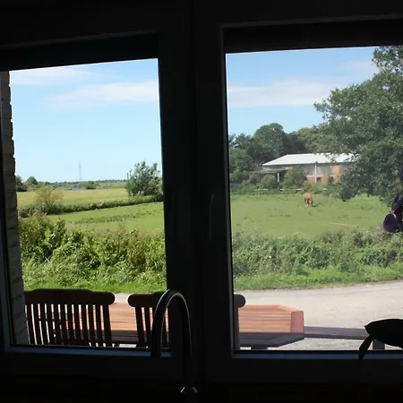 Schaefer Friedrichstadt