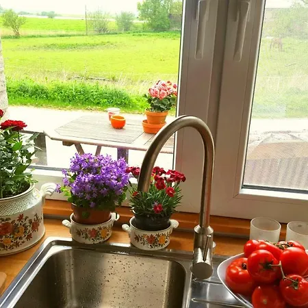 Schäfer Friedrichstadt