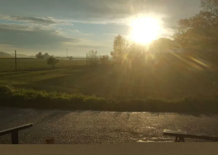 Schaefer פרידריכשטאדט